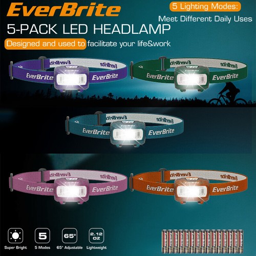Everbrite confezione fari - everbrite,