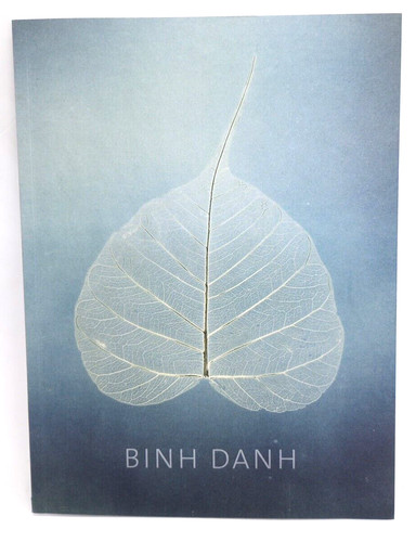Binh danh light memory - danh,